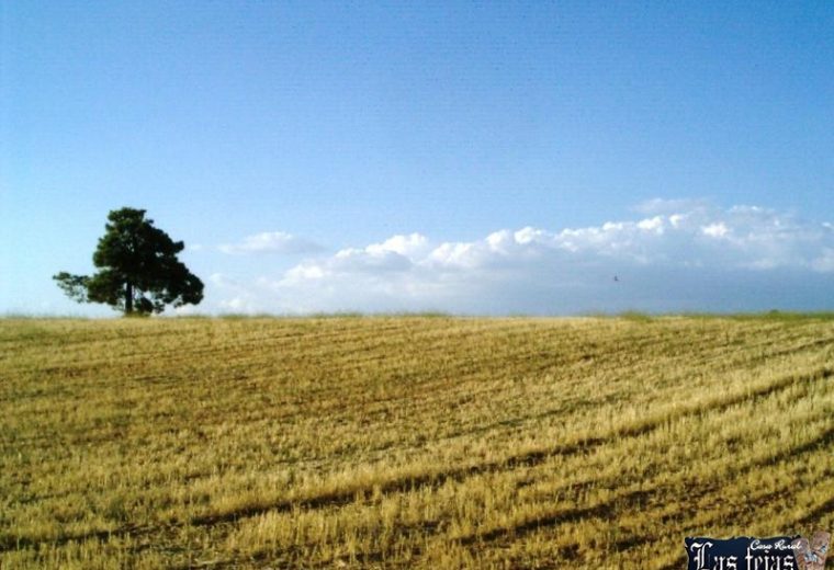 Hoces del Río Júcar en El Picazo - Casa Rural Las Tejas