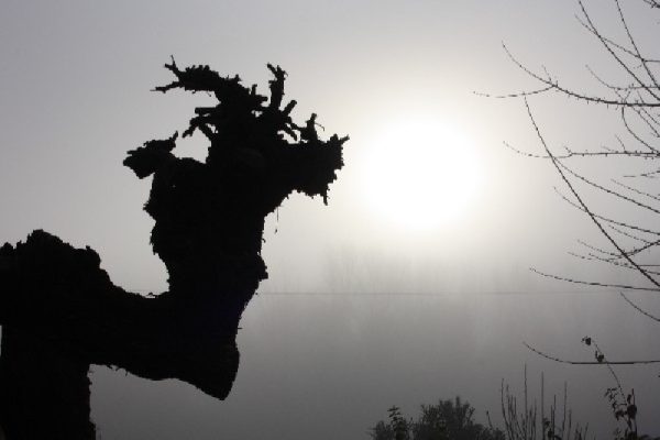 Foto de Miguel Angel Alvarez en Casa Rural Las Tejas
