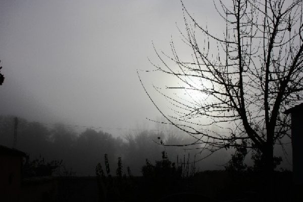 Foto de Miguel Angel Alvarez en Casa Rural Las Tejas