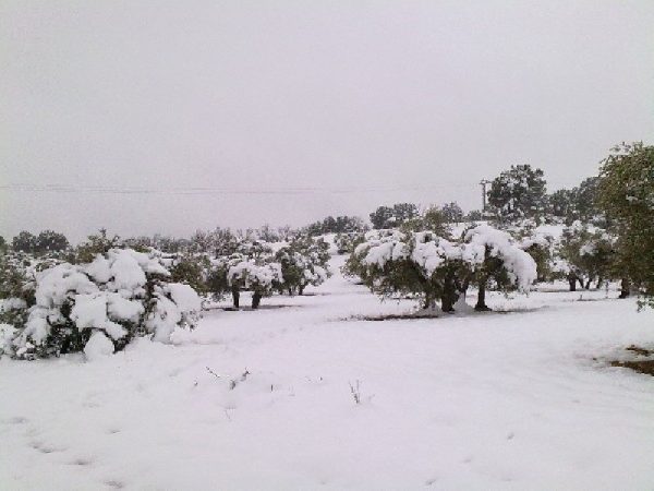 Vistas en El Picazo