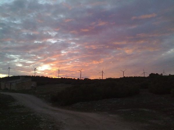 Vistas en El Picazo